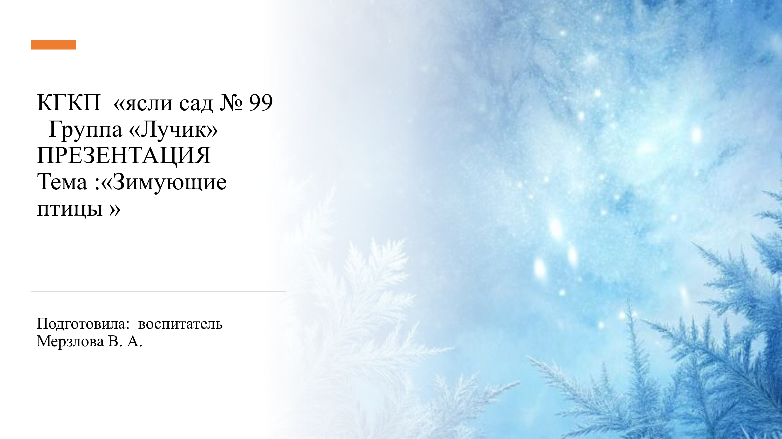 Зимующие птицы