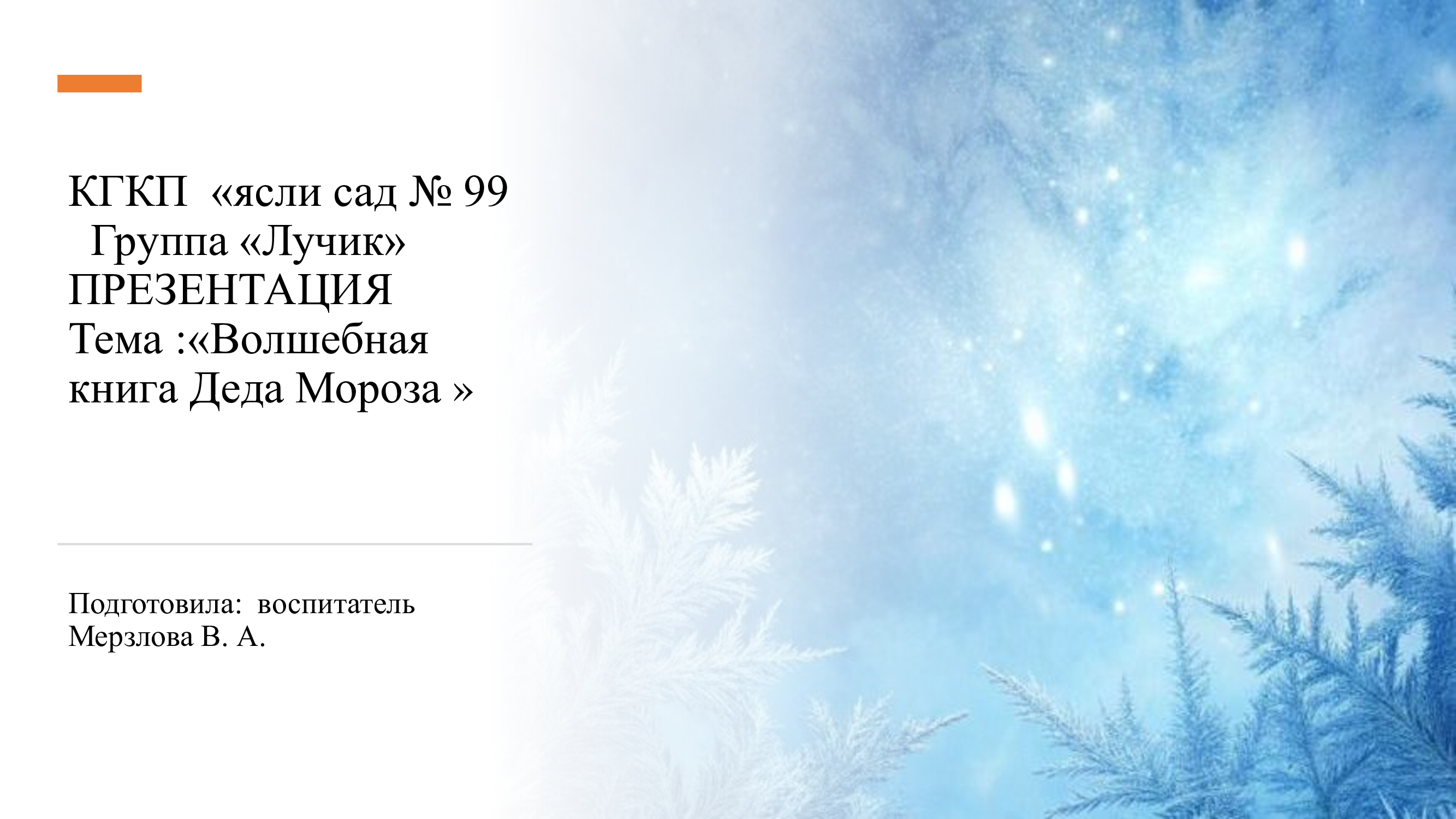 Волшебная книга Деда Мороза